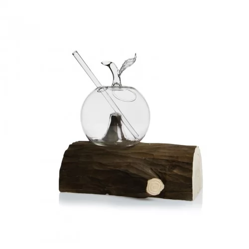 Apple Wood Trunk Kit by 100% Chef, 1 unit