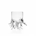 Coral Reef Mini Glass by 100% Chef, 1 unit Coral Reef Mini Glass by 100% Chef, 1 unit