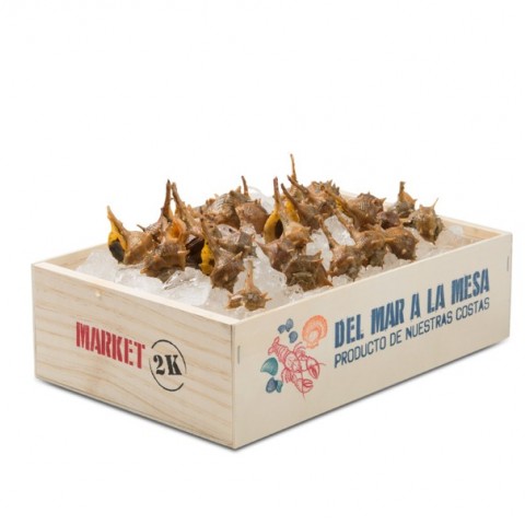 Seafood Box, Printed, 2kg, 30x20x8cm by 100% Chef, 5pk Seafood Box, Printed, 2kg, 30x20x8cm by 100% Chef, 5pk