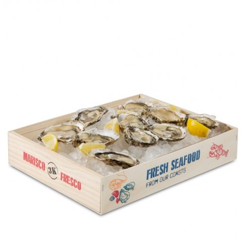 Seafood Box 3kg Methacrylate Insert (Single) by 100% Chef, 1 unit