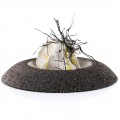 Barcino Bowl, Olive By 100% Chef, 3pk