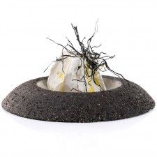 Barcino Bowl, Olive By 100% Chef, 3pk