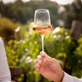 Moner No. 330 Oloroso Cocktail Glass, Pack of 2 by 100% Chef, 2pk
