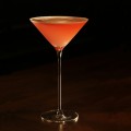 Moner Daiquiri Cocktail Glass 86ml - Set of 4 by 100% Chef, 4pk