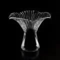 Lactarius Glass by 100% Chef, 1 unit Lactarius Glass by 100% Chef, 1 unit