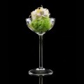 Amuse Cup by 100% Chef, 2pk