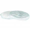 12 Oyster Glass Seafood Tray with Ice Compartment (Ø34 x 4cm) by 100% Chef, 1 unit