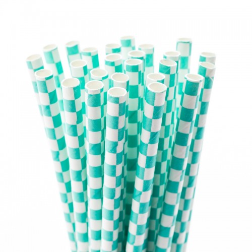 Turquoise Check Fancy Straws, 50pk