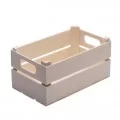 Mini Fruit Box 15x9x7cm, 5pk Mini Fruit Box 15x9x7cm, 5pk