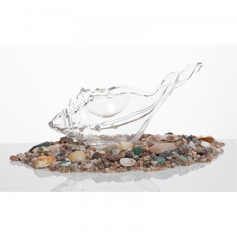 Murex Sea Snail Glass, 21x12x12cm, 70ml, 1 unit