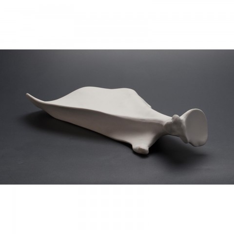 Veal Shoulder Porcelain Plate, 33x20x6cm, 1 unit Veal Shoulder Porcelain Plate, 33x20x6cm, 1 unit