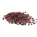 Roasted Cocoa Nibs by Luker Chocolate, 1kg