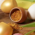 Egg Shells (brown), 300pk