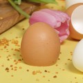 Egg Shells (brown), 300pk