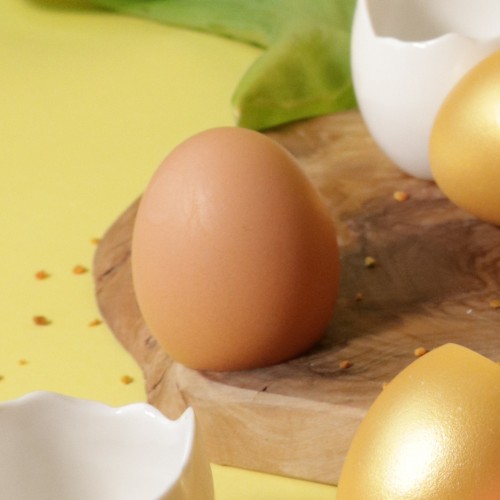 Egg Shells (brown), 300pk