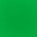 Lime Green Performance Liquid Food Colour, 50ml Lime Green Performance Liquid Food Colour, 50ml