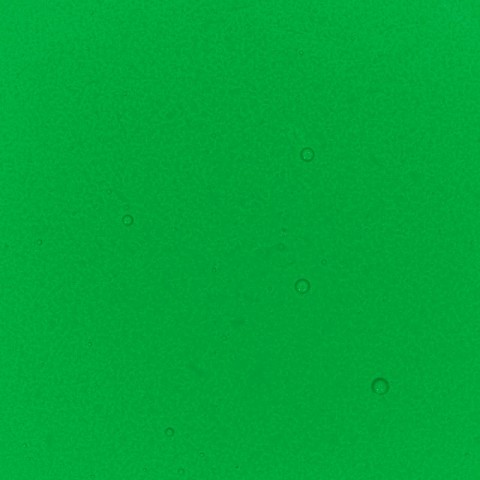 Lime Green Performance Liquid Food Colour, 50ml Lime Green Performance Liquid Food Colour, 50ml