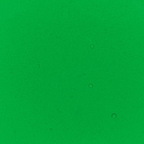 Lime Green Performance Liquid Food Colour, 50ml