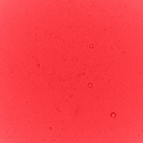 Raspberry Performance Liquid Food Colour, 50ml Raspberry Performance Liquid Food Colour, 50ml