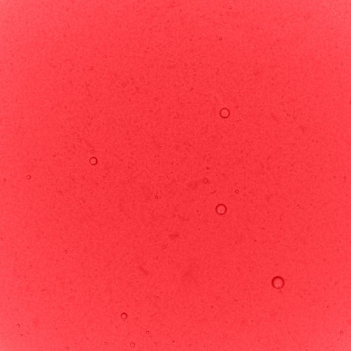Raspberry Performance Liquid Food Colour, 50ml