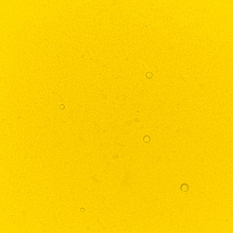 Lemon Performance Liquid Food Colour, 50ml Lemon Performance Liquid Food Colour, 50ml