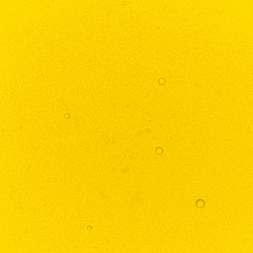 Lemon Performance Liquid Food Colour, 50ml