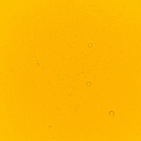 Egg Performance Liquid Food Colour, 50ml Egg Performance Liquid Food Colour, 50ml