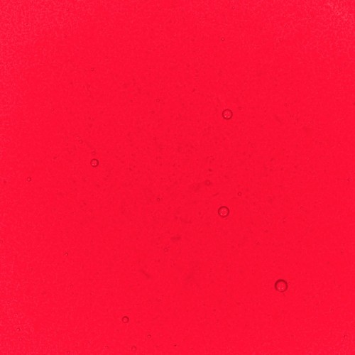 Red Performance Liquid Food Colour, 50ml Red Performance Liquid Food Colour, 50ml