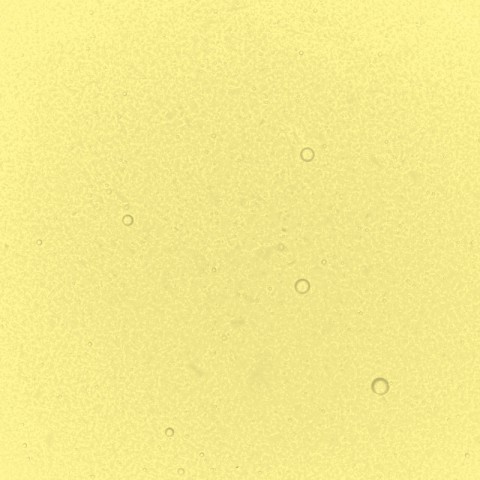 Yellow Performance Liquid Food Colour, 50ml Yellow Performance Liquid Food Colour, 50ml