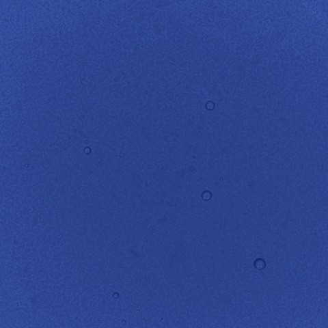 Violet Performance Liquid Food Colour, 50ml Violet Performance Liquid Food Colour, 50ml