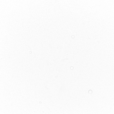 White Performance Liquid Food Colour, 50ml White Performance Liquid Food Colour, 50ml