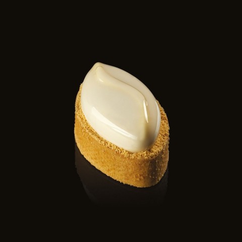 Shell Pavoflex Mould PX3201S by Pavoni Italia, 1 unit Shell Pavoflex Mould PX3201S by Pavoni Italia, 1 unit