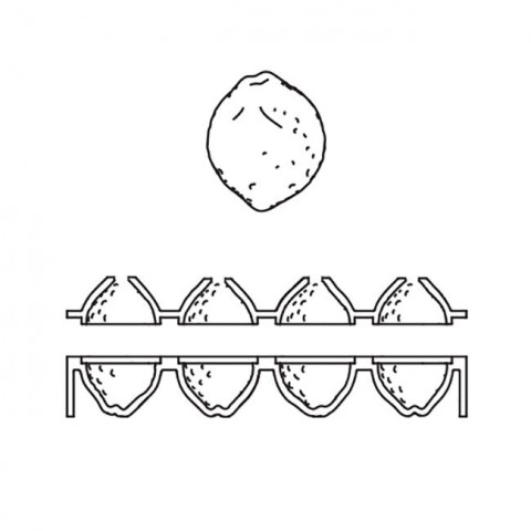 Lemon Double Silicone Mould AF006S by Pavoni Italia, 1 unit