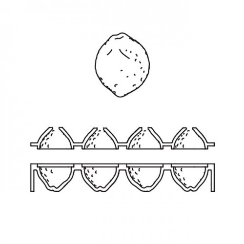 Lemon Double Silicone Mould AF006S by Pavoni Italia, 1 unit