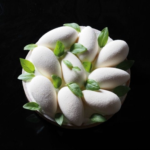 Quenelles Round Mini Pavoflex Mould PX074 by Pavoni Italia, 1 unit Quenelles Round Mini Pavoflex Mould PX074 by Pavoni Italia, 1 unit