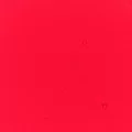Red Performance Liquid Food Colour, 50ml