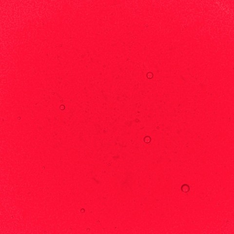 Red Performance Liquid Food Colour, 50ml Red Performance Liquid Food Colour, 50ml