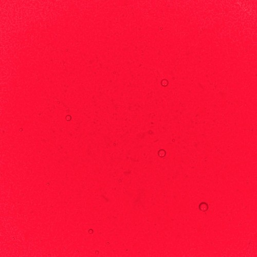 Red Performance Liquid Food Colour, 50ml