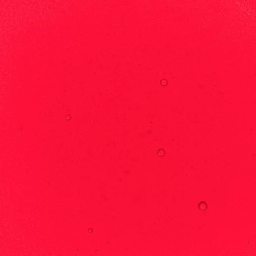 Red Performance Liquid Food Colour, 50ml