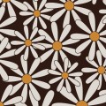 Daisy, White/Amber Chocolate Transfer Sheets, 10pk