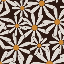 Daisy, White/Amber Chocolate Transfer Sheets, 10pk