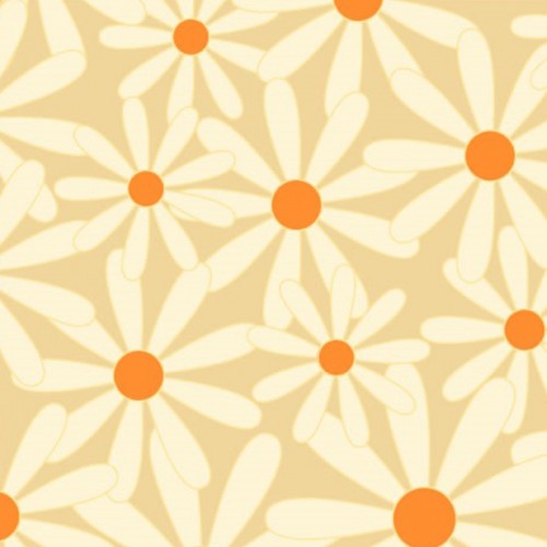 Daisy, White/Amber Chocolate Transfer Sheets, 10pk