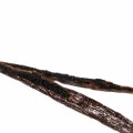 Madagascan Vanilla Beans, Gold 19cm+, 250g