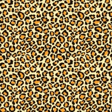 Transfer Sheets - Leopard Print Chocolate Transfer Sheets, 10pk