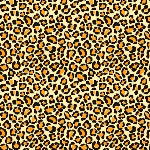 Transfer Sheets - Leopard Print Chocolate Transfer Sheets, 10pk