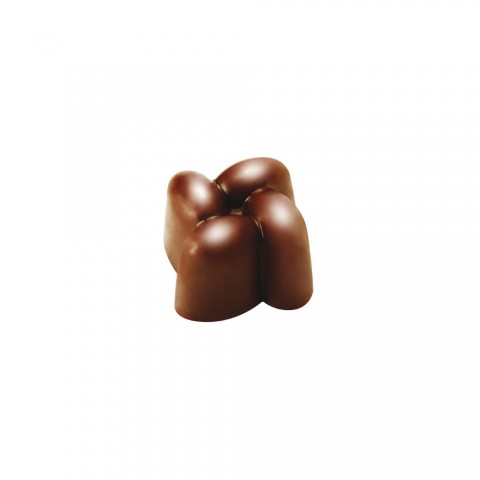 Innovation Praline Mould, 21 pcs - PC12FR by Pavoni Italia, 1 unit