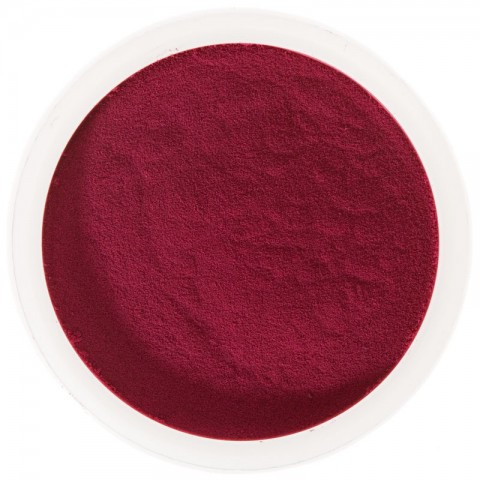 Elderberry Spray Dried Powder, 500g