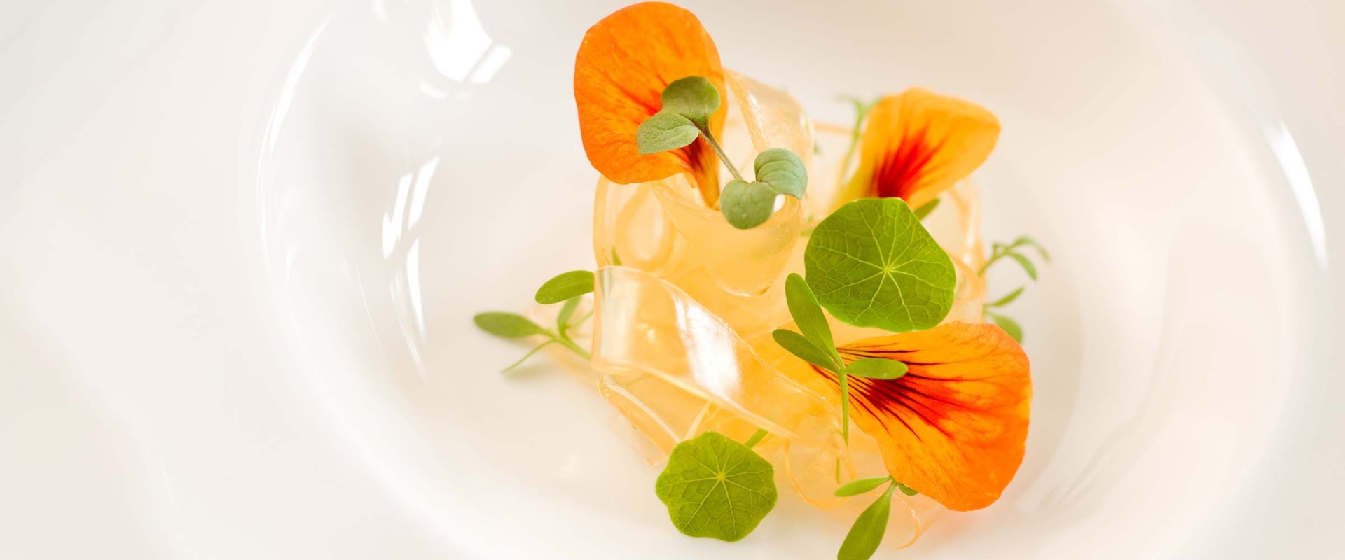 Gell Gum Tagliatelle
