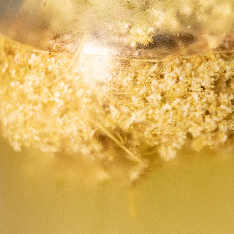 Elderflower being infused into a cordial in a jar