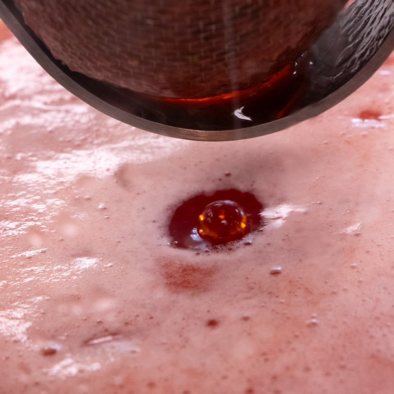 Cold pressed Strawberry Juice being passed Cold pressed strawberry juice being passed through a fine mesh sieve